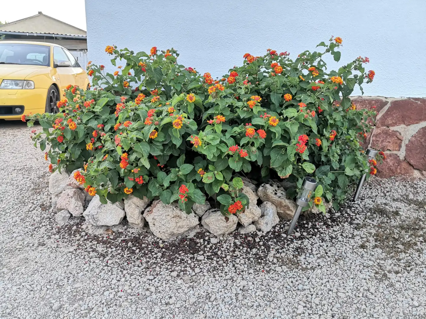 Jardí de Casa o xalet en venda en Cullera amb Aire condicionat, Jardí privat i Terrassa