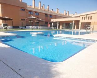 Swimming pool of Flat for sale in  Murcia Capital  with Air Conditioner, Terrace and Storage room