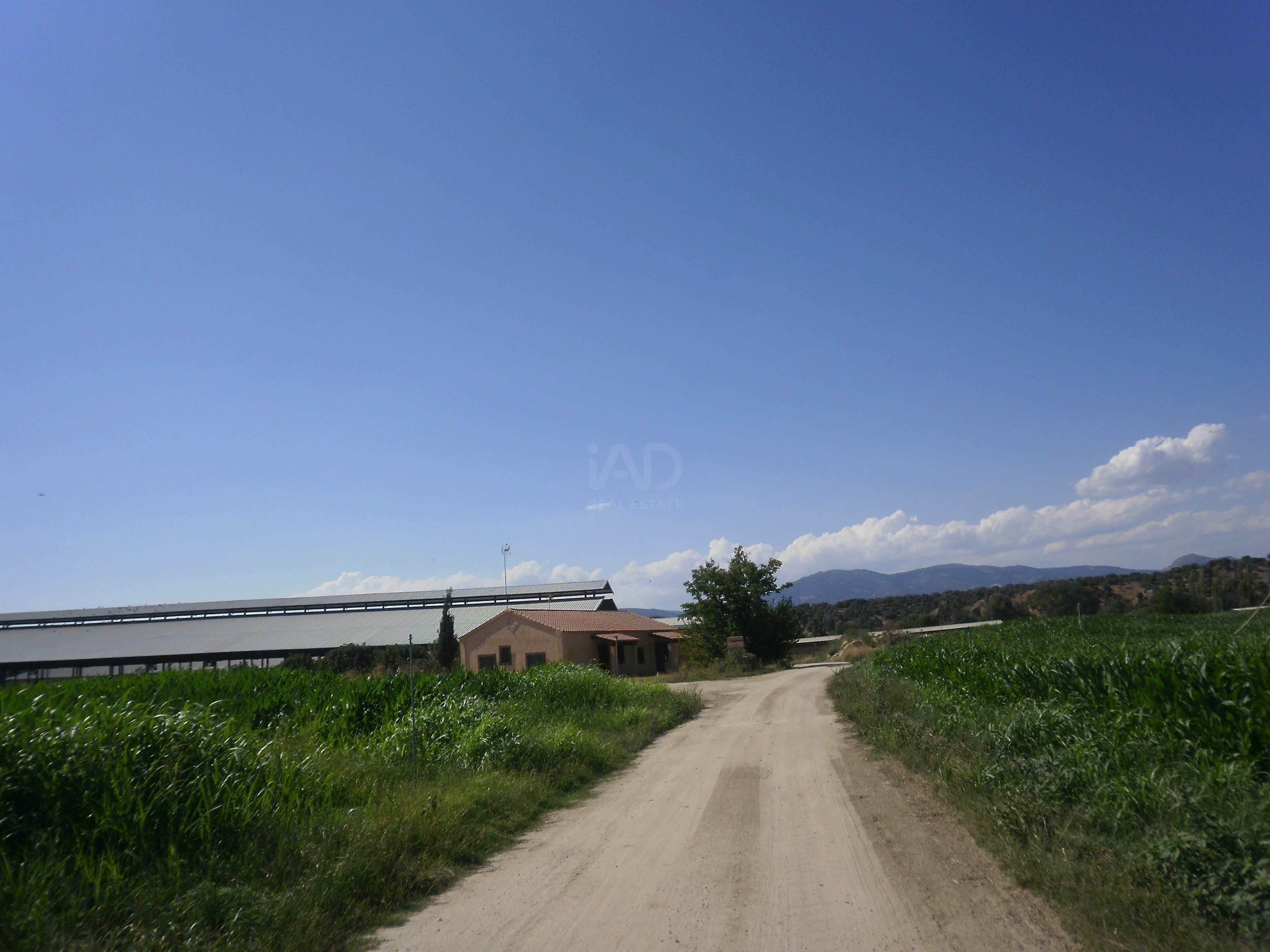 Terreno en venta en Lucillos