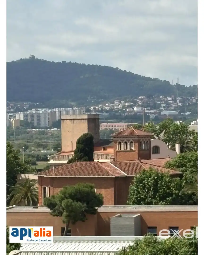 Appartement avec terrasse à vendre à Centre - Can Nadal, imagen 20