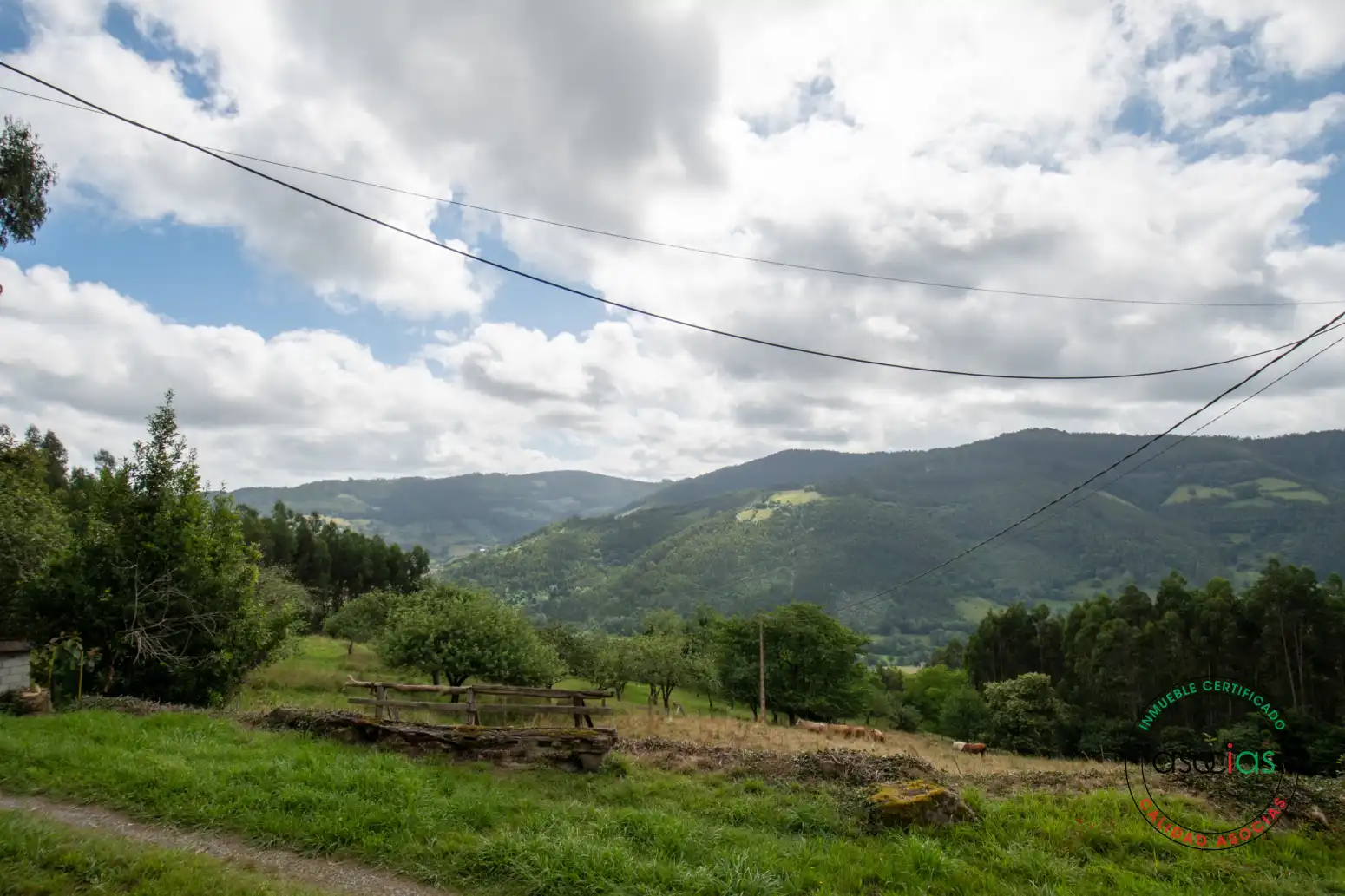 Casa o xalet en venda en Villaviciosa amb Jardí privat i Traster