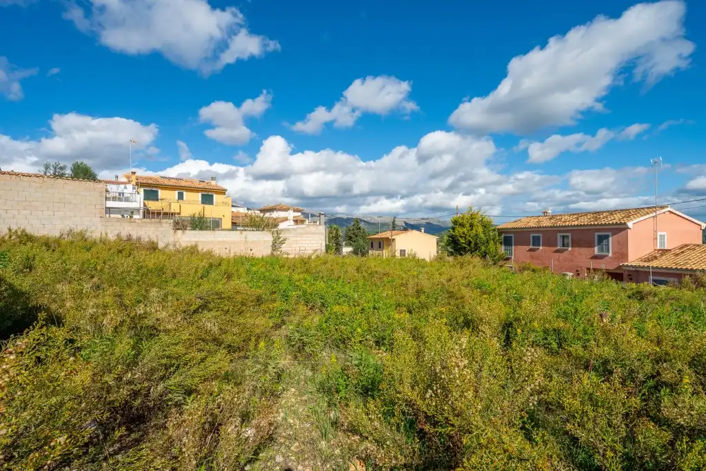 Terrain rustique à vendre à Campanet, imagen 5
