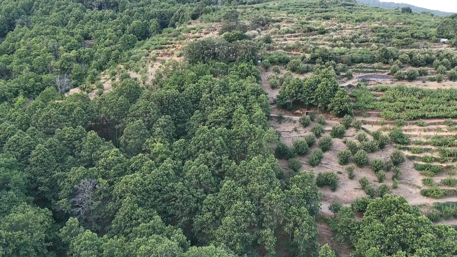 Grundstücke zum Verkauf in Navaconcejo