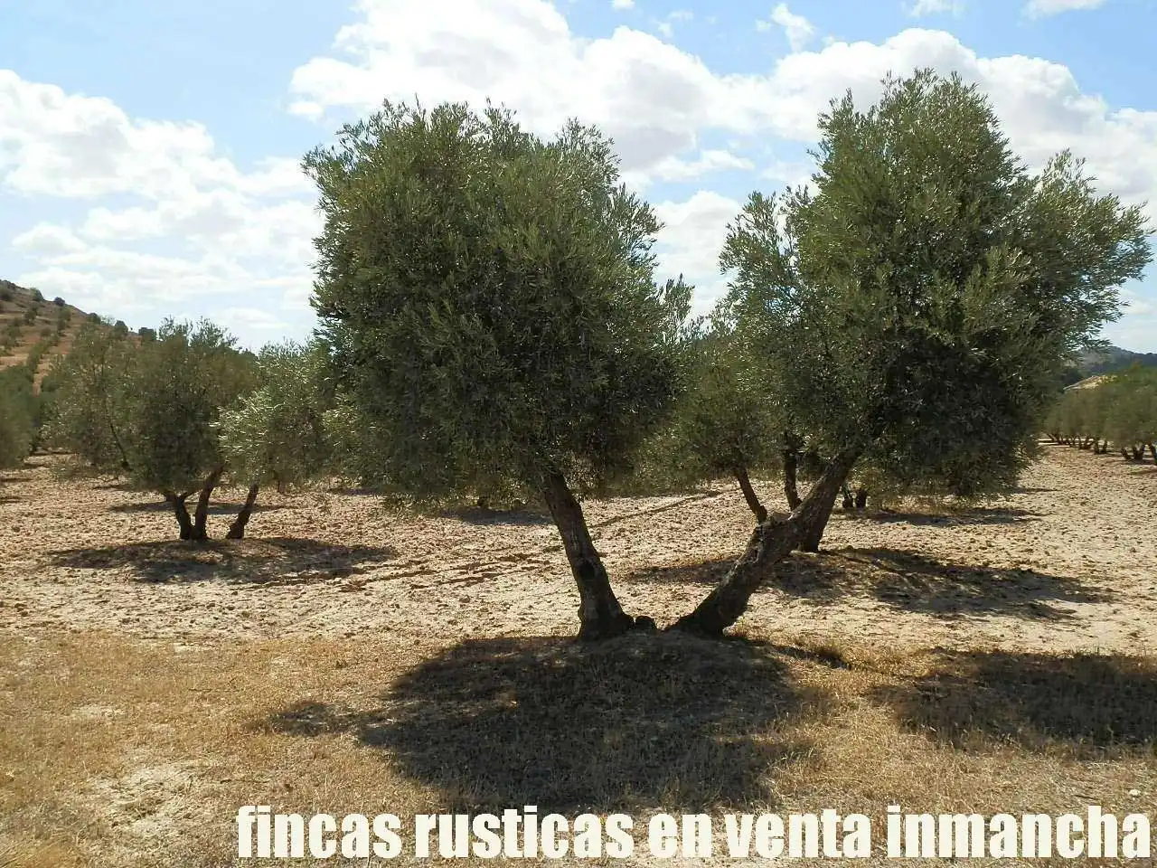 Terreni e lotti in vendita a Cabra del Santo Cristo, imagen 20