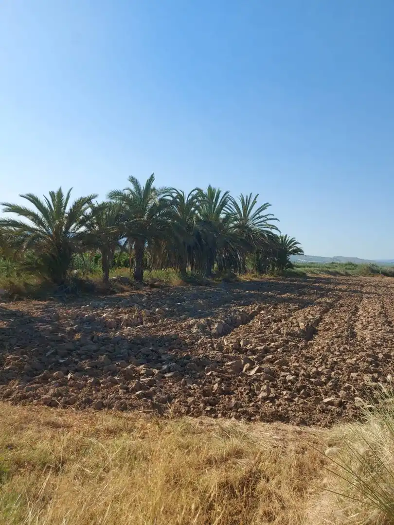Residencial en venta en Catral