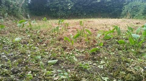 Foto 5 de Casa o xalet en venda a Leon, Pastoriza, A Coruña