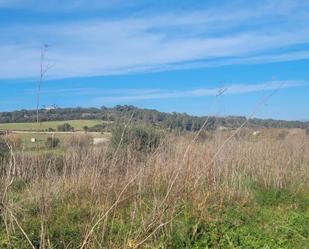 Land for sale in Sanlúcar de Barrameda