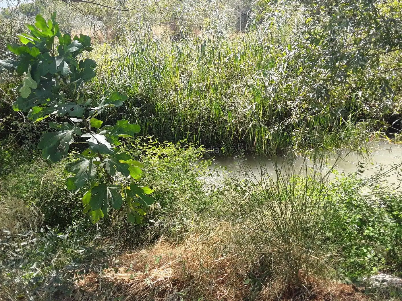 Adossat en venda a Calle Cortijo del Amo 11, imagen 10