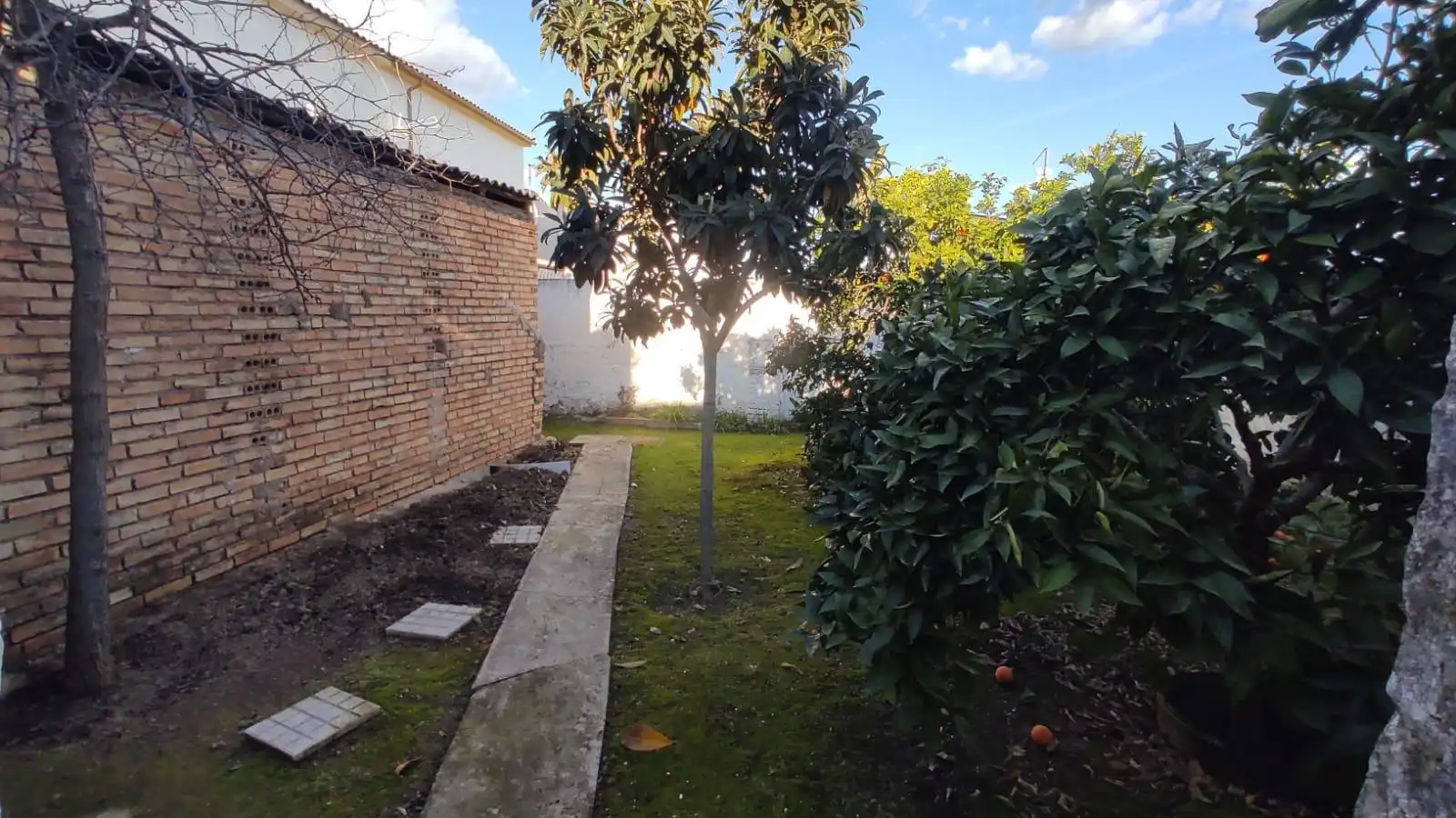 Casa amb terrassa en venda a El Carpio, imagen 3