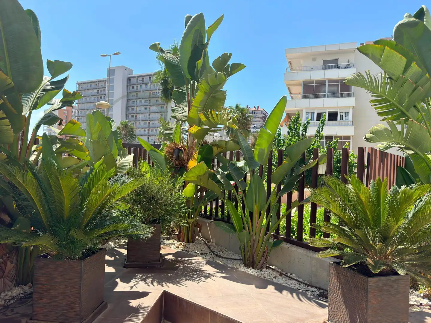 Terrassa de Àtic de lloguer en Alicante / Alacant amb Aire condicionat, Jardí privat i Terrassa
