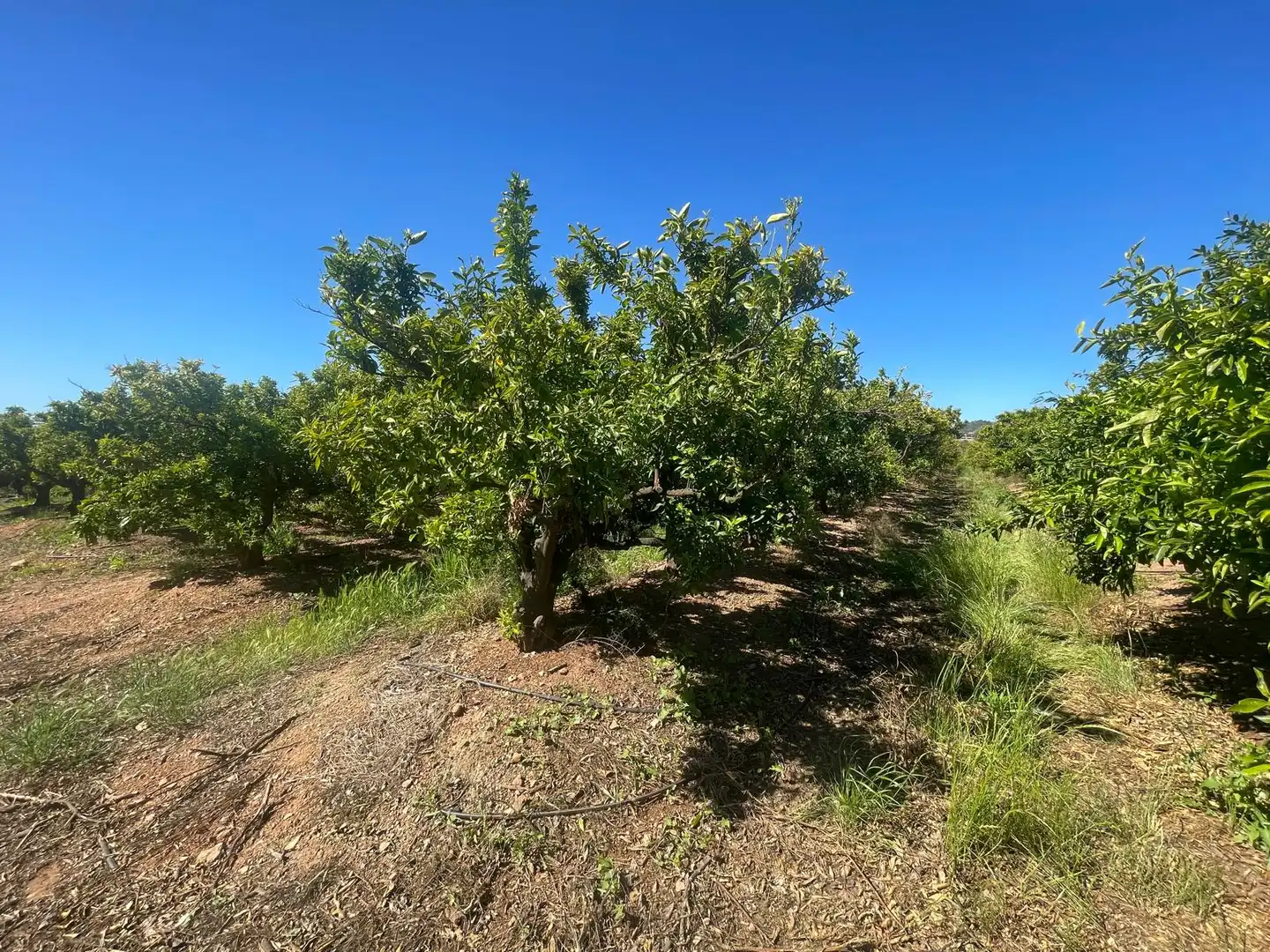 Grundstücke zum Verkauf in Castellón de la Plana / Castelló de la Plana