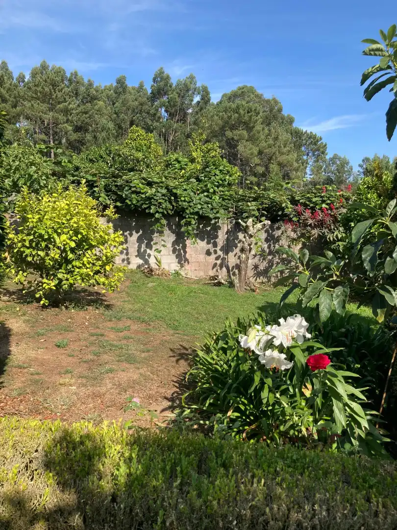 Jardí de Casa o xalet en venda en Dorneda
