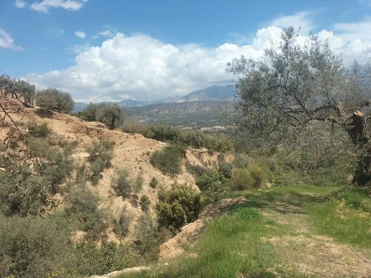 Casa rustica in vendita a El Valle, imagen 7