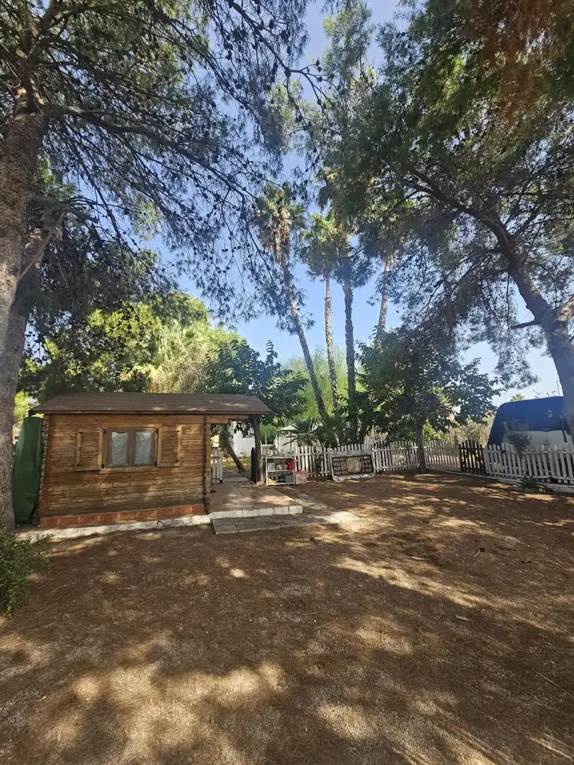 Casa con jardín en venta en Dolores, imagen 25