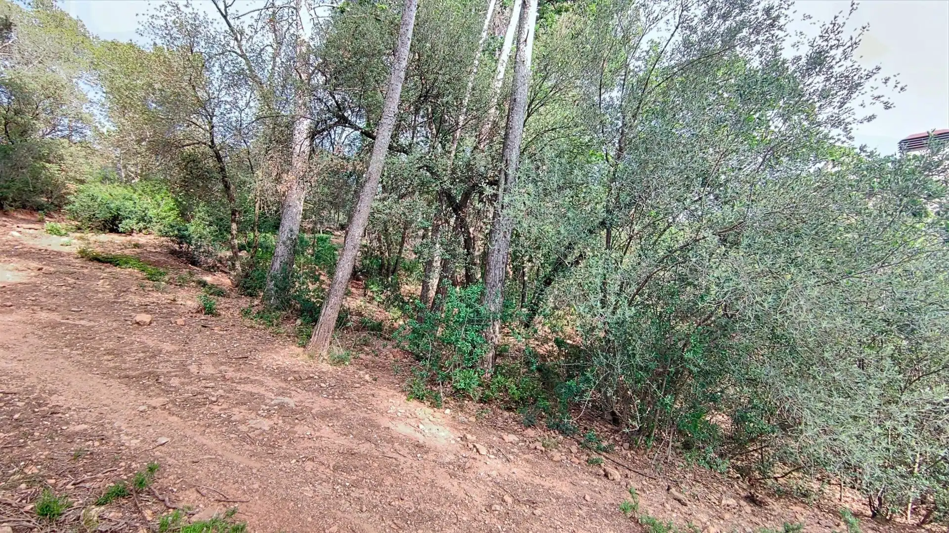 Terreno residencial en venta en Molins de Rei, imagen 21