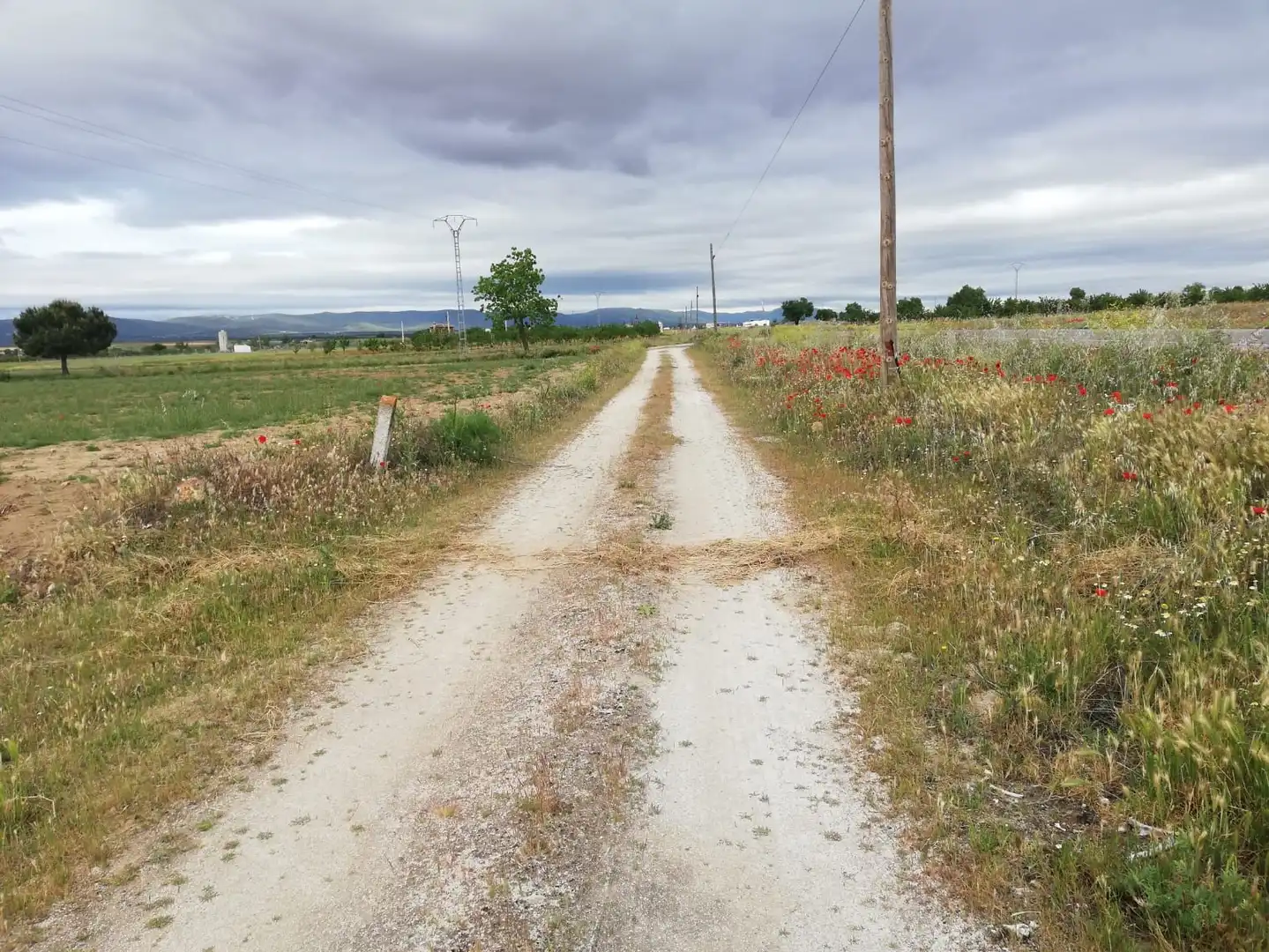 Rural land for sale in Almonacid de Toledo, imagen 2