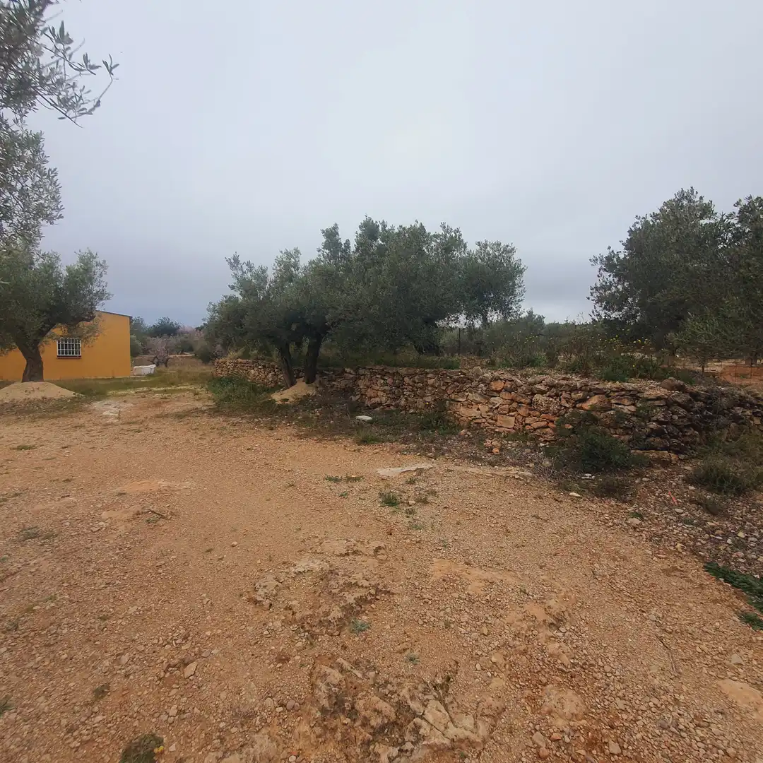 Terrain rustique à vendre à L'Aldea, imagen 5
