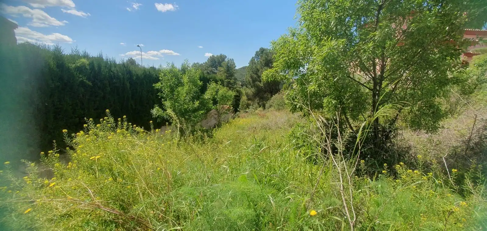 Residential land for sale in BENADRESA, imagen 7