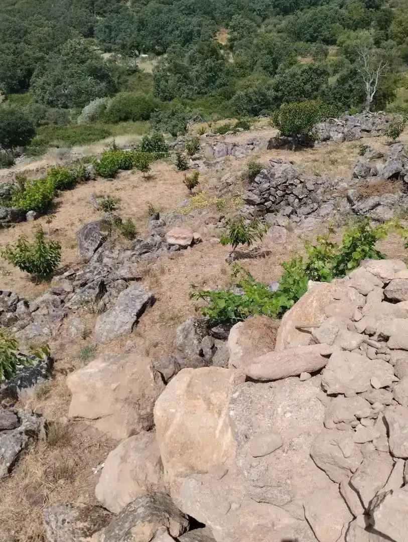 Finca rústica en venta en Pasarón de la Vera