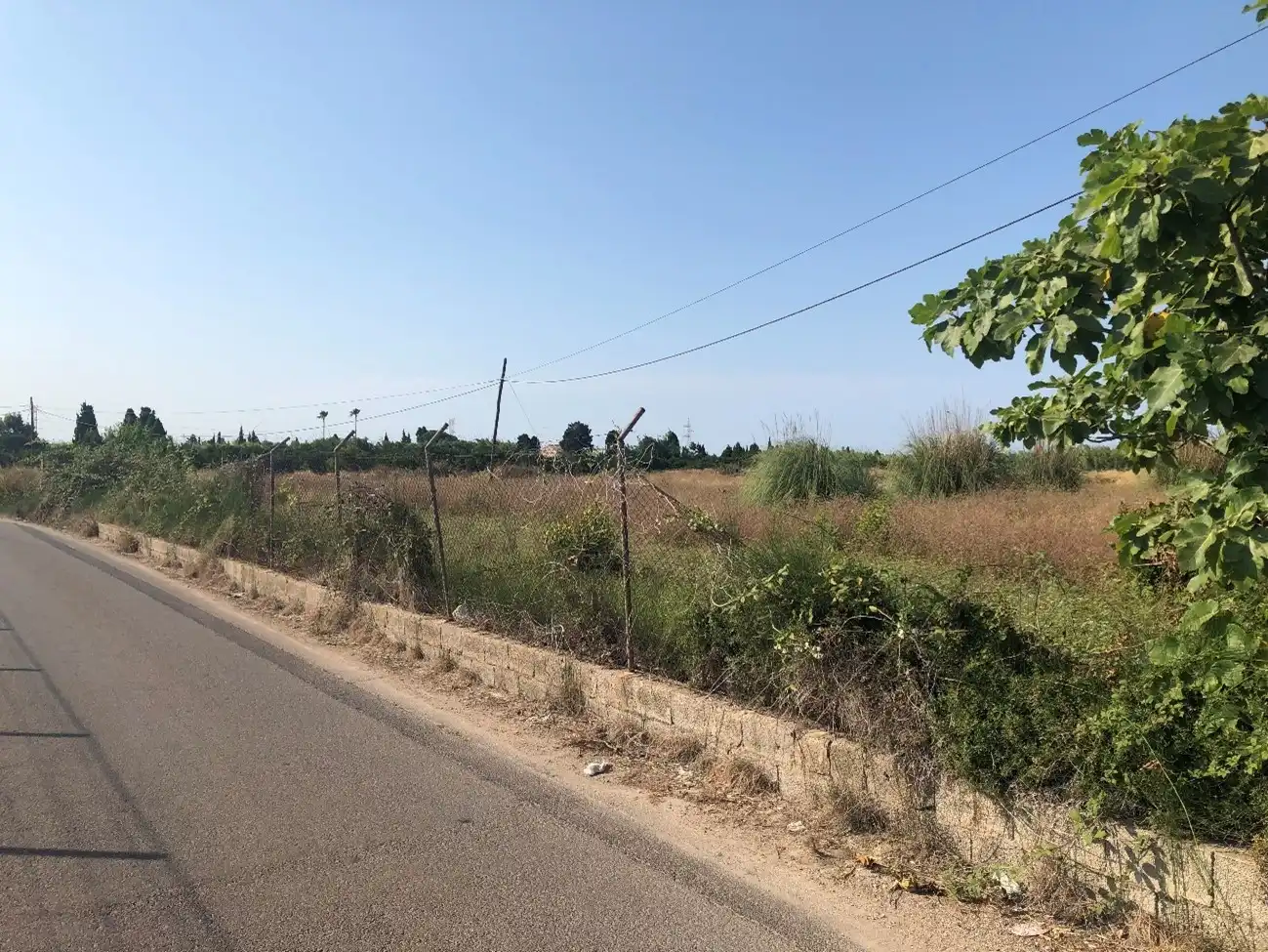Terreny rústic en venda a Ptda Cañades, PP Sc Camí al Mar, imagen 8