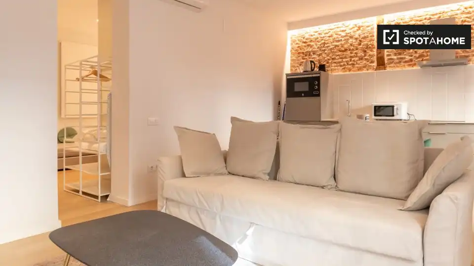 Wohnung mit Terrasse zur Miete in Centro, imagen 5