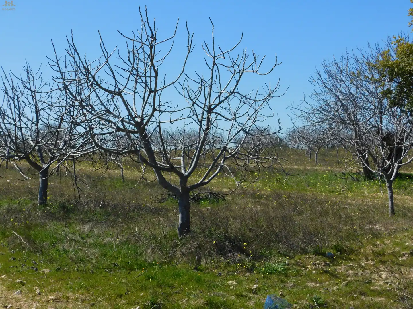 Terreno en venta en Villa del Prado