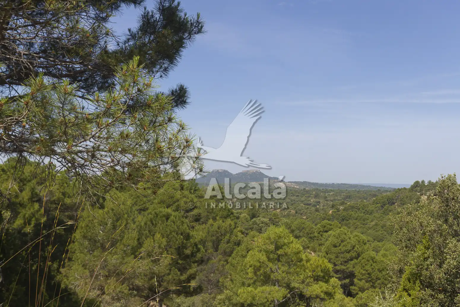Residential for sale in Trillo