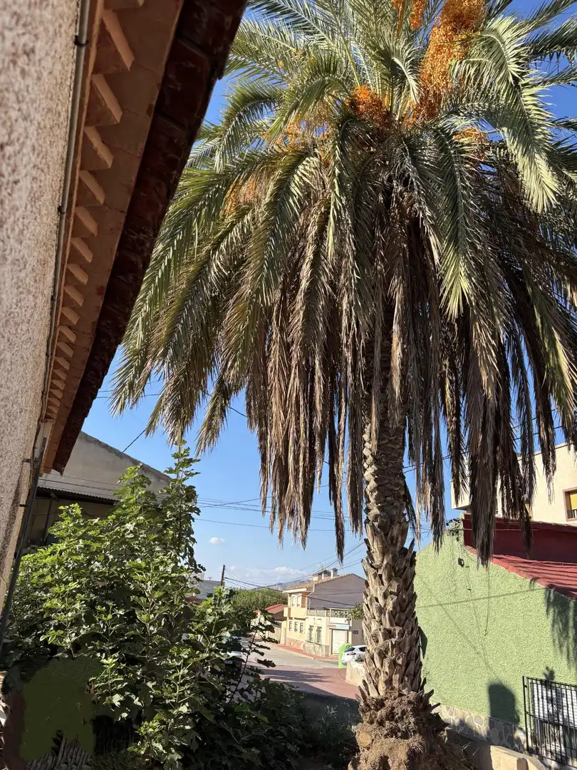 Exterior view of Houses for sale in Murcia