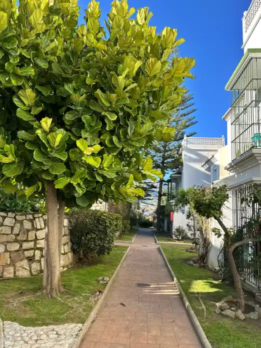 Vista exterior de Pis en venda en Mijas amb Aire condicionat, Terrassa i Moblat