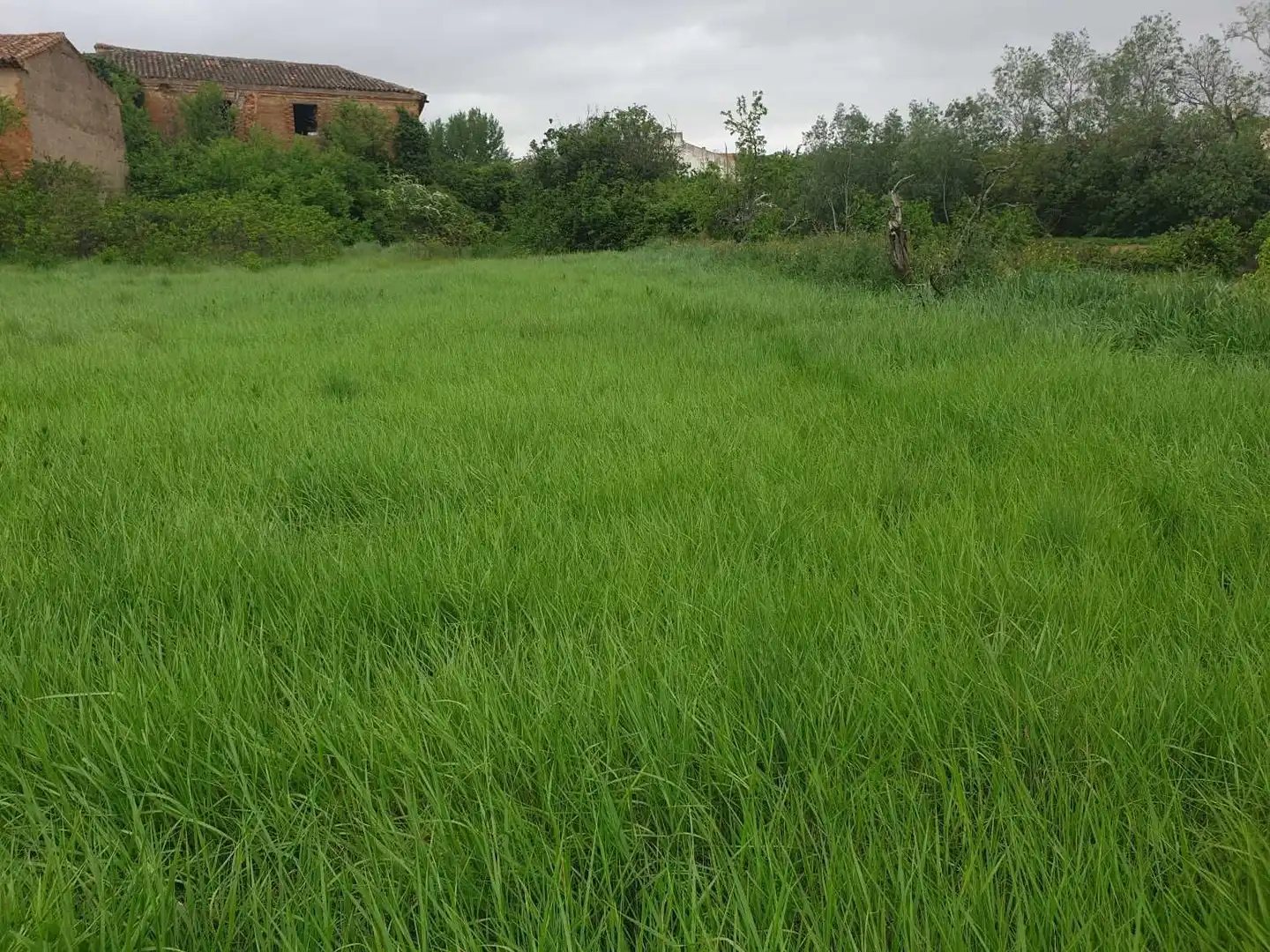Terreno en venta en Munébrega