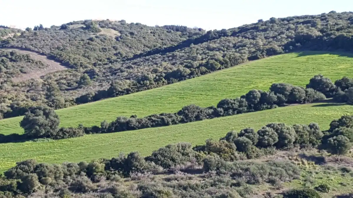 Terrain rustique à vendre à Vejer
