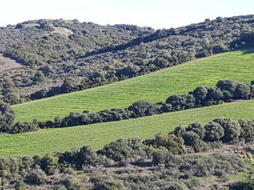 Rustikales Grundstück zum Verkauf in Vejer
