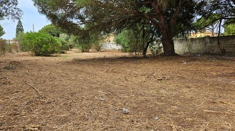 Foto 4 de Terreny en venda a Las Lagunas - Campano, Chiclana de la Frontera