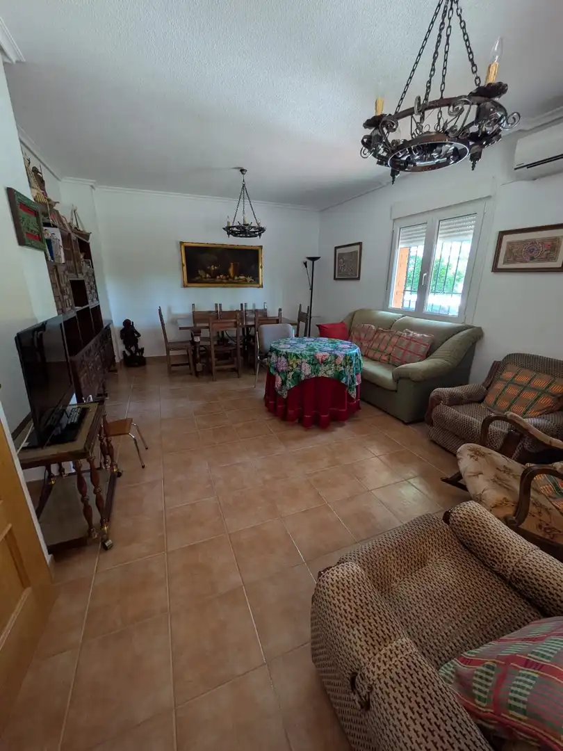 Sala de estar de Finca rústica en venta en Miguelturra con Aire acondicionado, Calefacción y Jardín privado