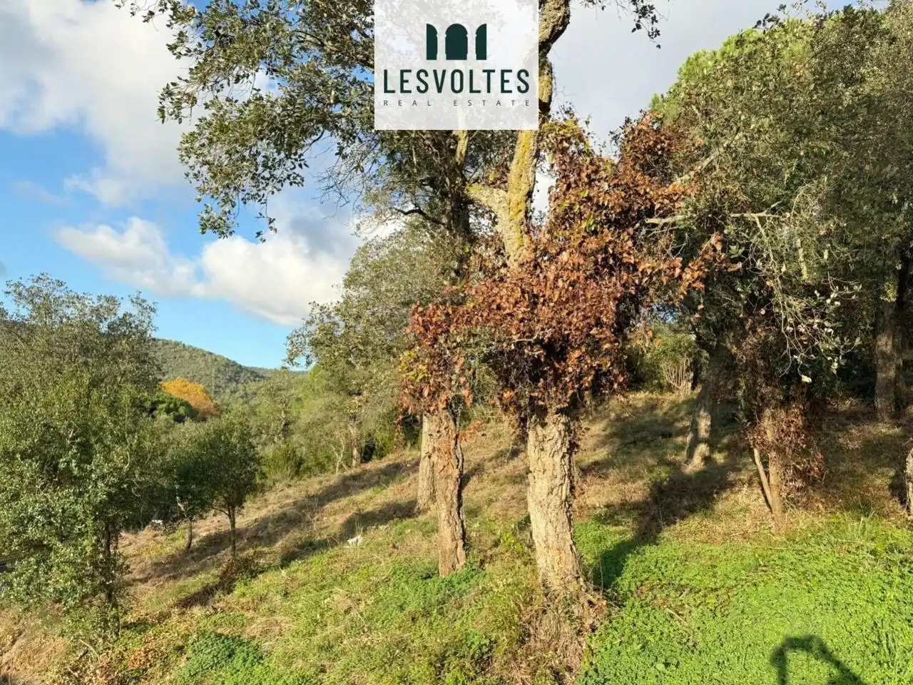 Lands and plots for sale in Avellaneda, imagen 10