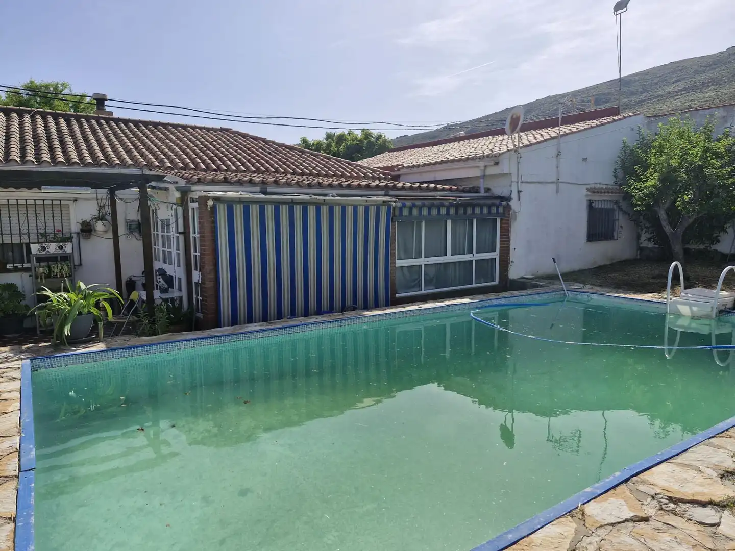 Piscina de Finca rústica en venta en La Línea de la Concepción con Jardín privado y Piscina