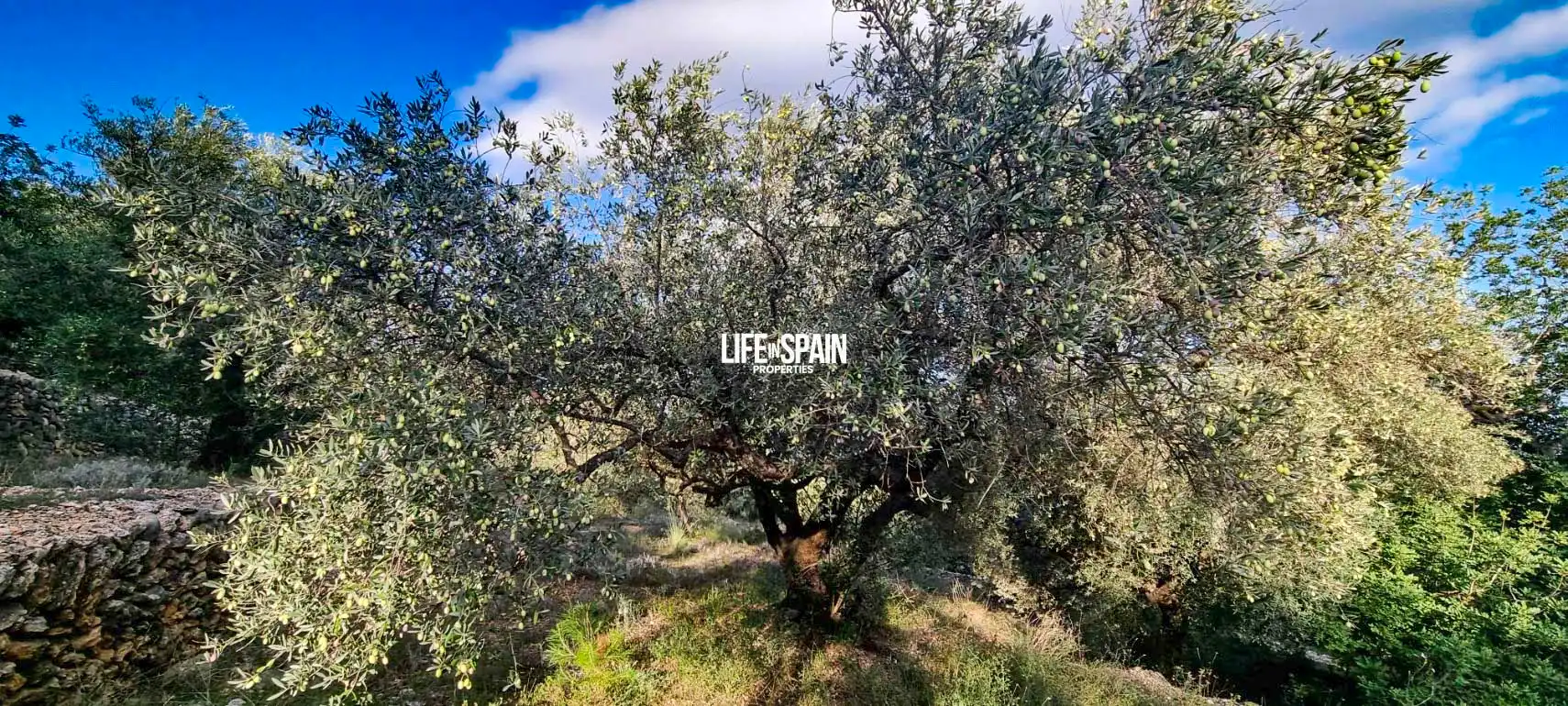 Finca rústica en venda en Roquetes amb Jardí privat i Piscina