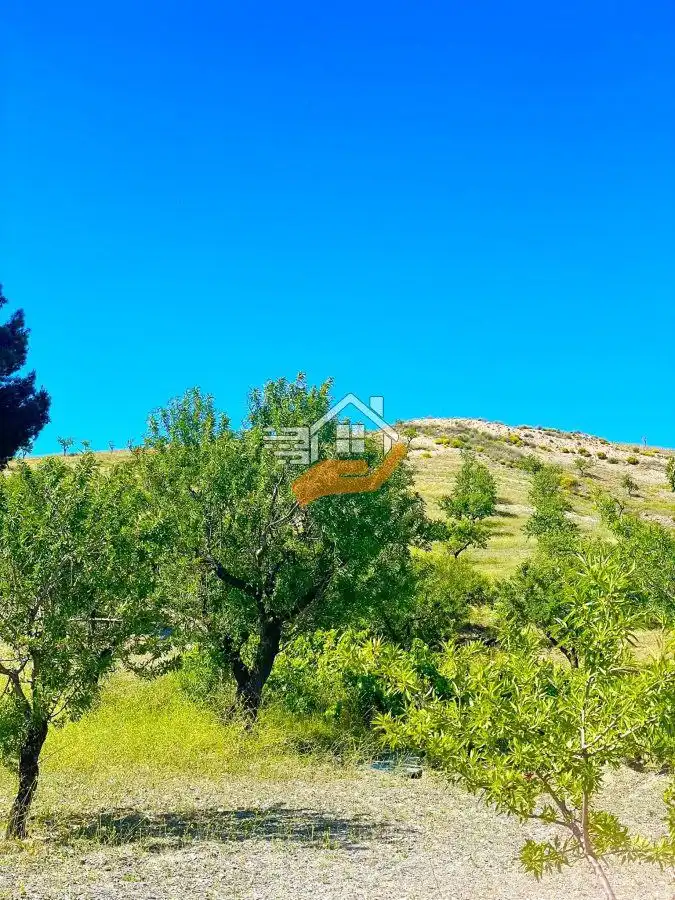 Residential land for sale in Vélez-Rubio, imagen 12