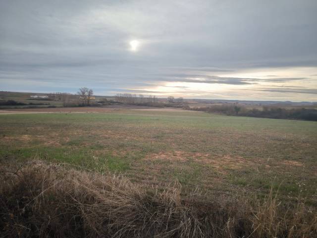 Casa-chalet en Venta en Tagarrosa, 9 en Melgar de Fernamental