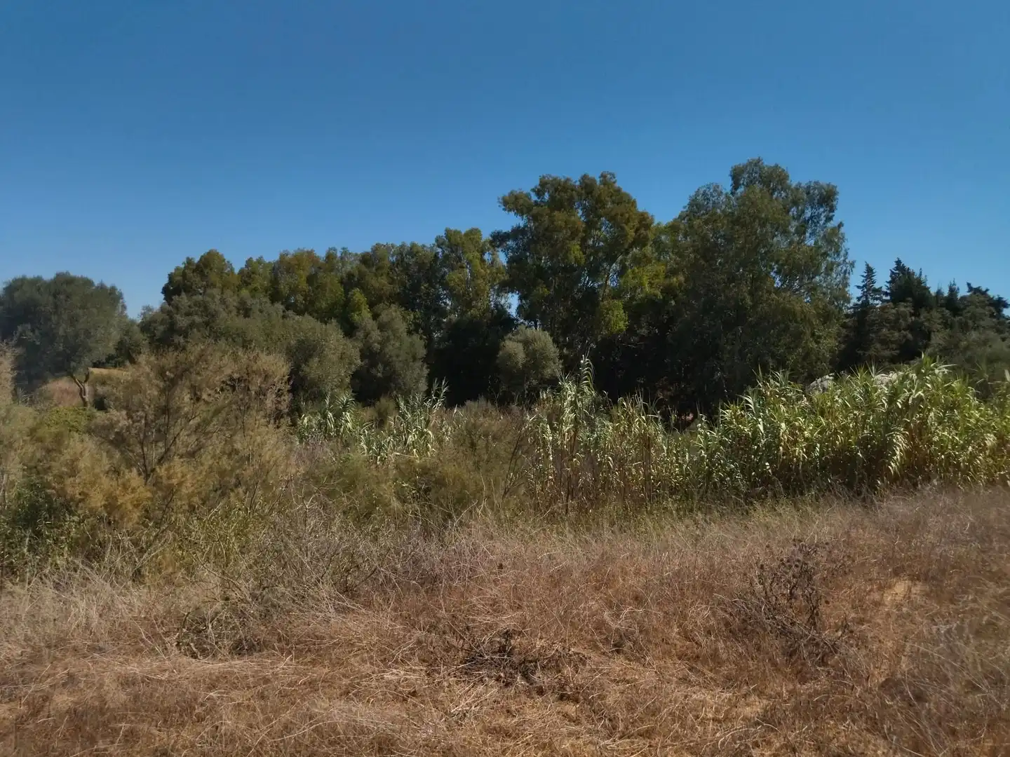 Terreno en venta en Vejer de la Frontera