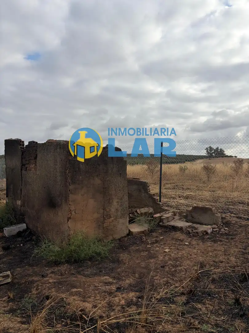 Land for sale in Niebla