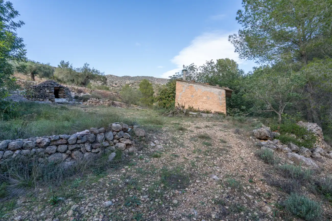 Terrain rustique à vendre à Tivenys, imagen 8