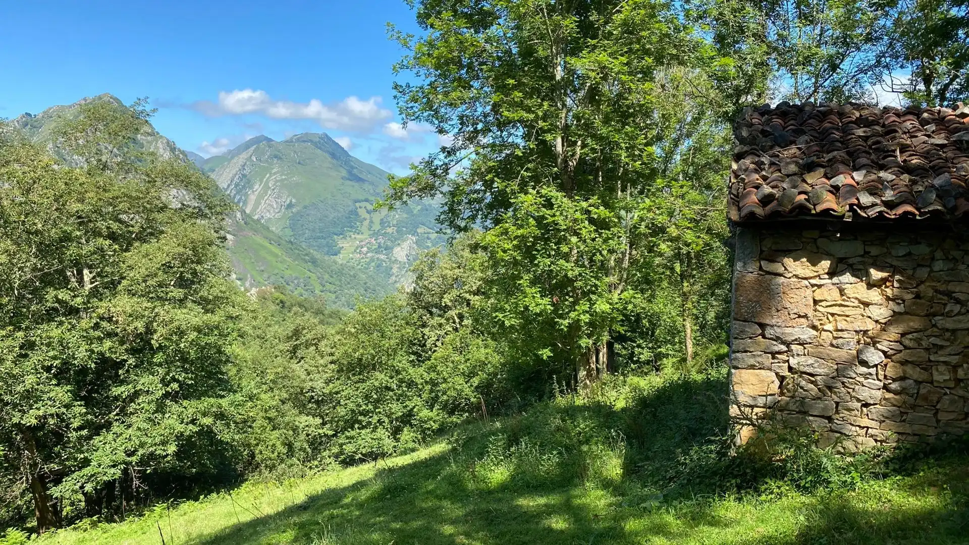 Terreno en venta en PRIESCA, Ponga