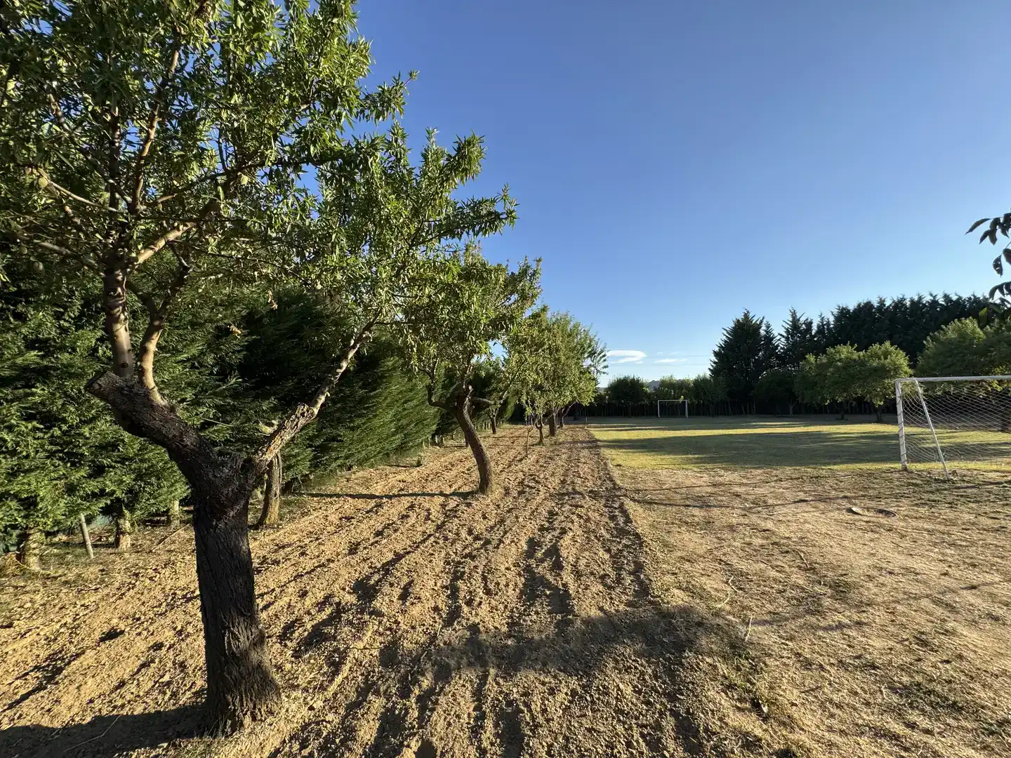 Finca rústica en venda en Grijota amb Jardí privat, Traster i Piscina