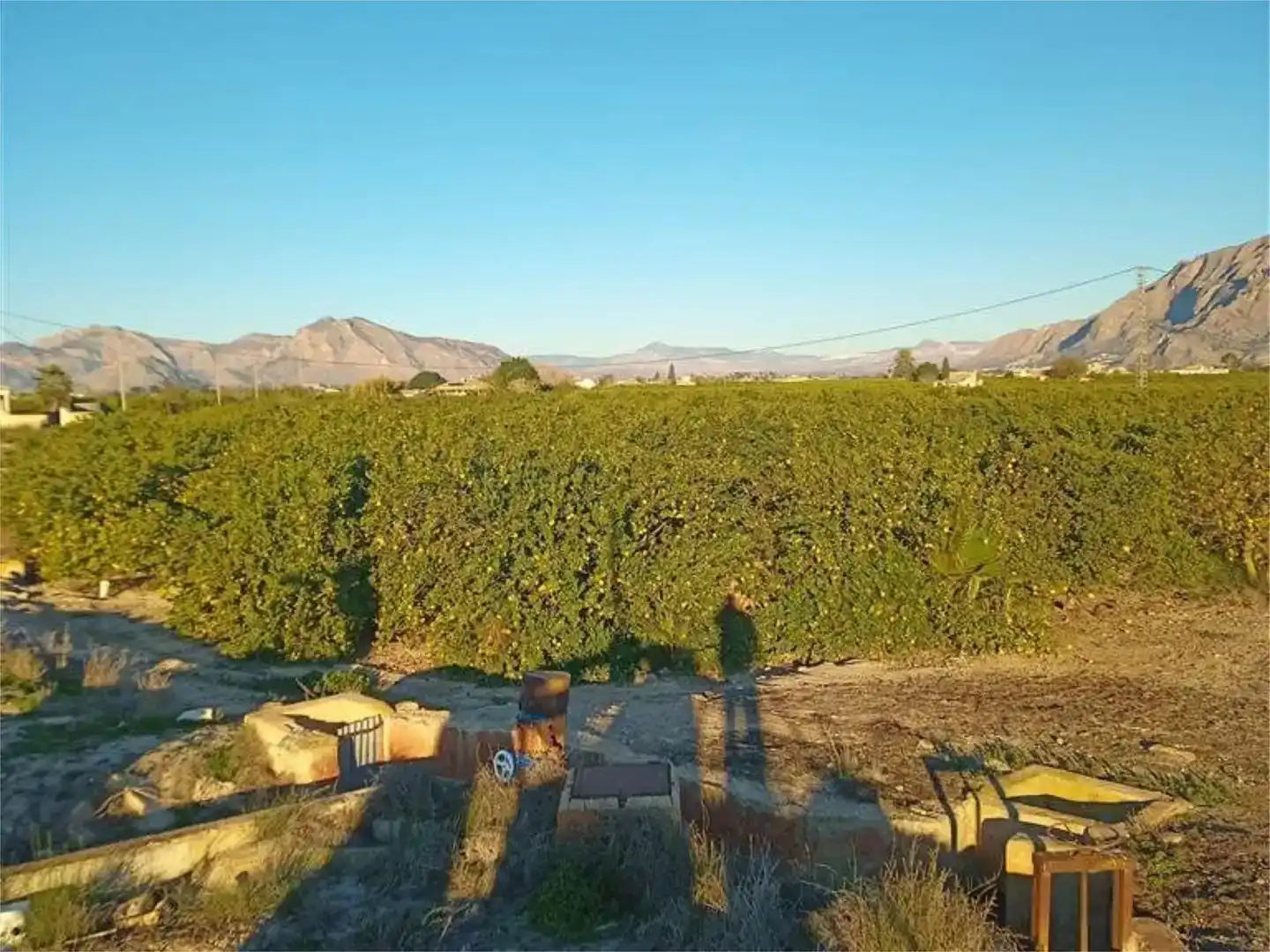Terreno en venta en Orihuela
