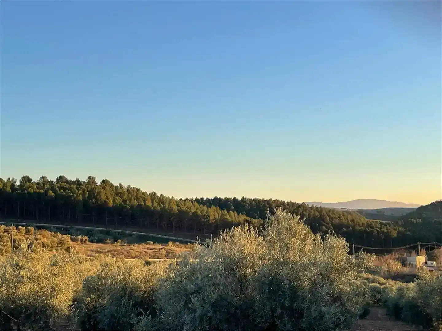 Casa o chalet en venta en Benamejí, Córdoba
