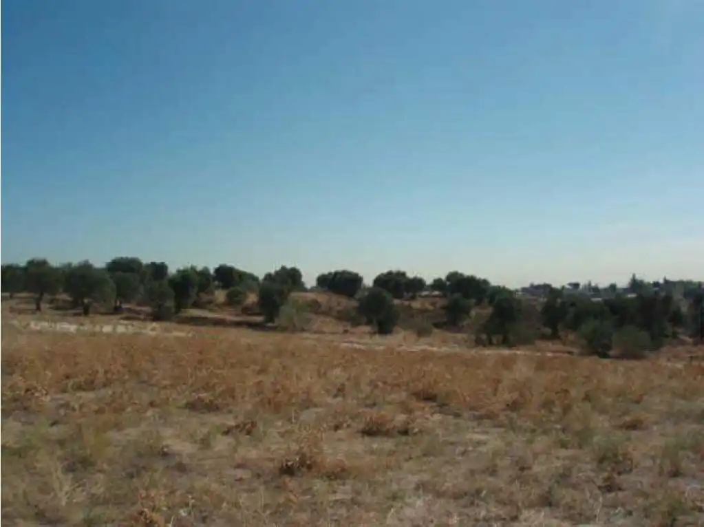 Terreno en venta en Sevilla la Nueva