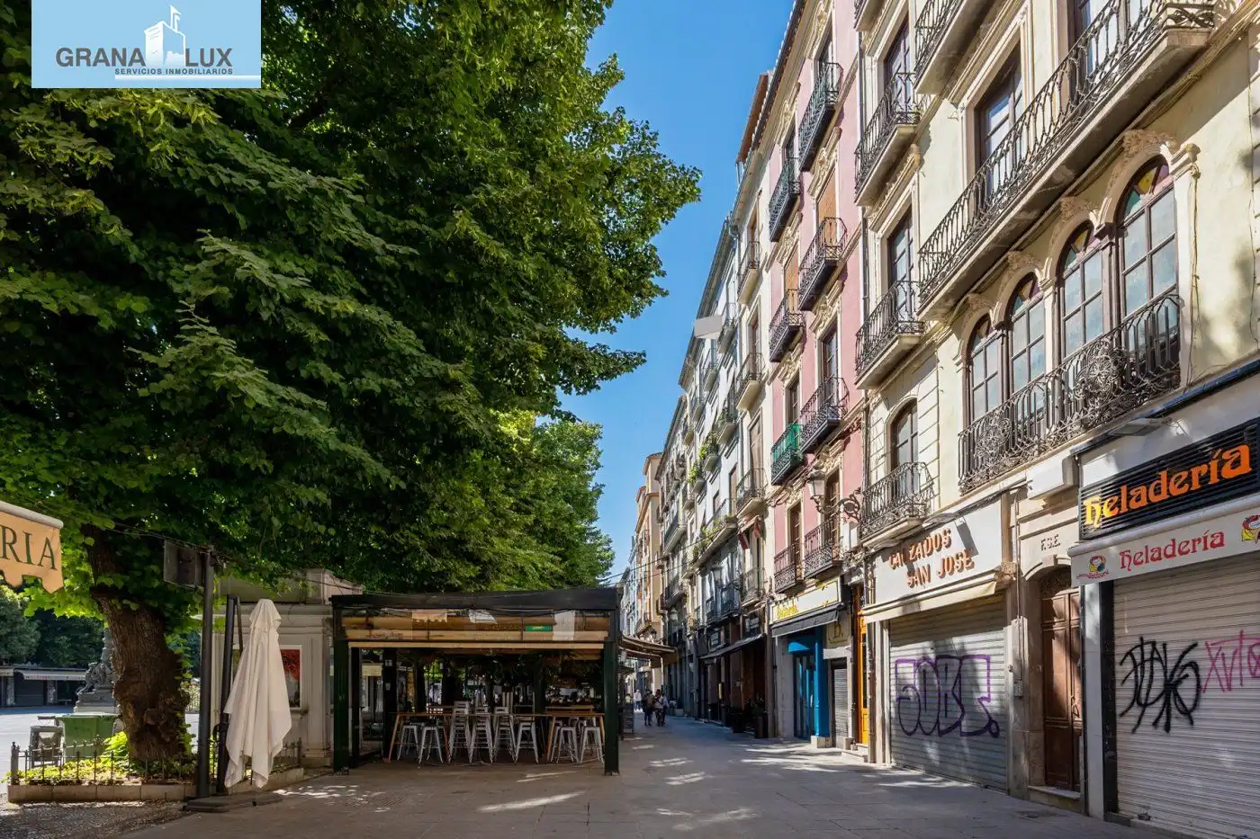 Inmuebles singulares en venta en Centro, imagen 7
