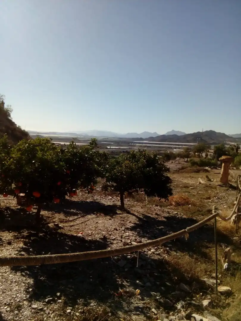 Casa rústica amb jardí en venda a Tébar - Los Arejos, imagen 15