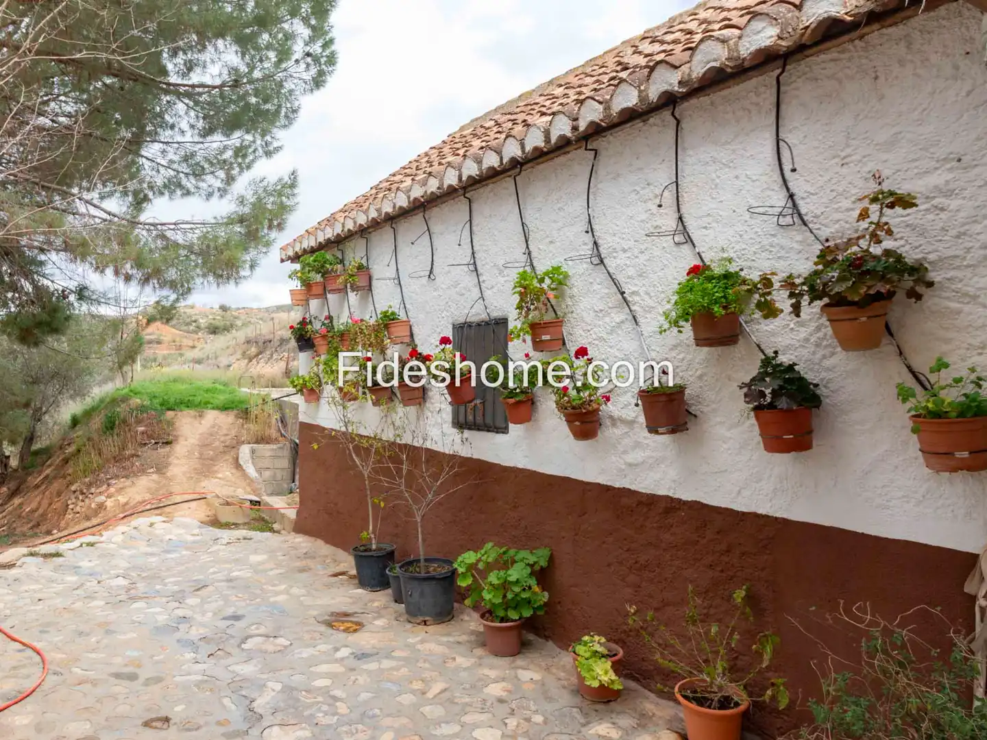 Vista exterior de Finca rústica en venda en Villamena amb Jardí privat, Piscina i Moblat